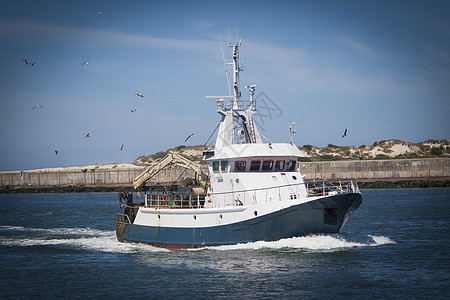 渔船行业渔业海鸥商业方式天空鳕鱼食品交通运输图片