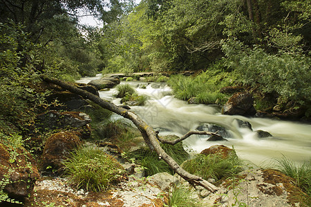西班牙卡尔达斯德雷斯乌米亚河森林急流石头美丽风景流动旅行生态岩石荒野图片