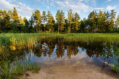 俄罗斯莫斯科附近的森林和树木反射湖中的湖泊中图片