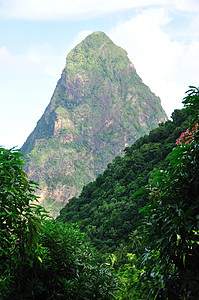 圣卢西亚宠物皮顿峰值背景