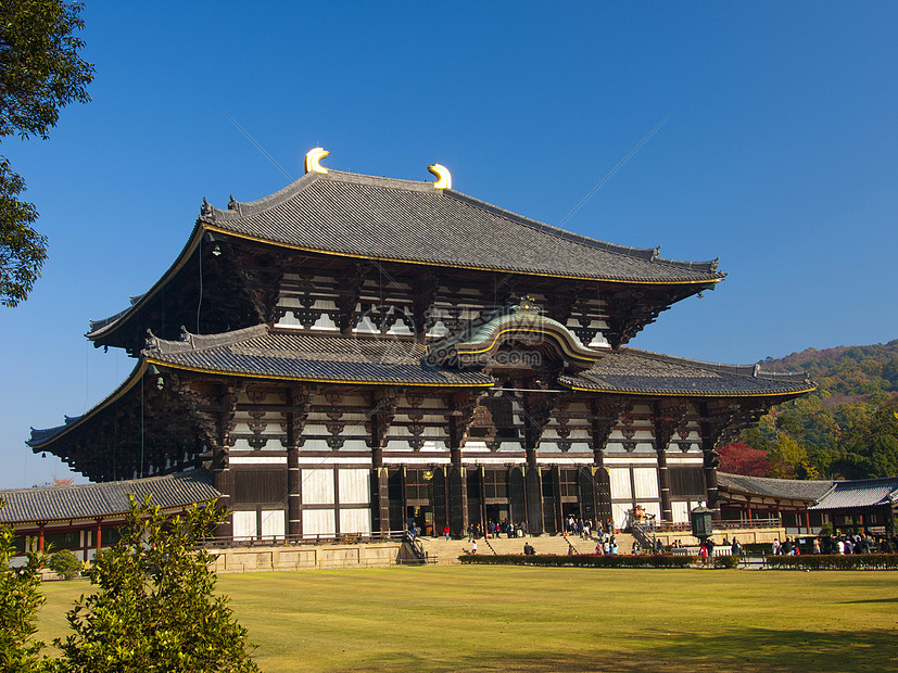 日本奈拉Todaiji寺庙主厅图片