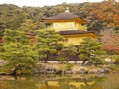 日本京都金宫寺金殿历史性花园寺庙建筑学旅行季节金子地标旅游遗产图片