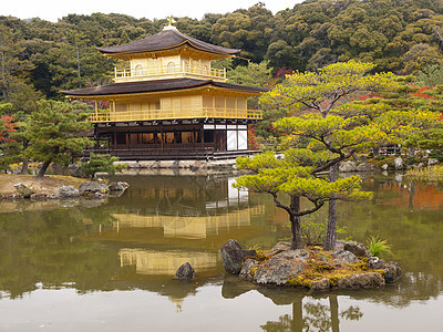日本京都金宫寺金殿建筑学金子艺术旅行叶子花园旅游地标文化历史性图片