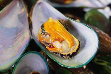 亚洲绿色贝类 海产食品 特写食物美食香菜塑料动物海鲜篮子饮食甲壳烹饪图片