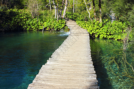 普利维茨湖的木道图片