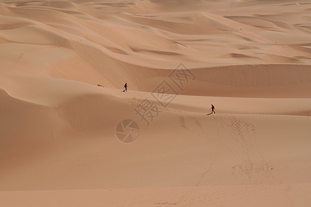 两人在撒哈拉沙漠中行走旅行风景橙子气候沙丘晴天男人侵蚀干旱太阳图片