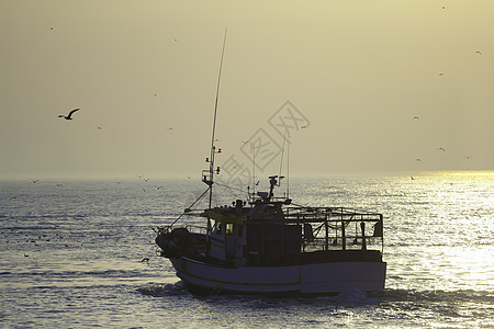 渔船渔网海岸线游戏渔业拖网海鸥摄影水平商业图片