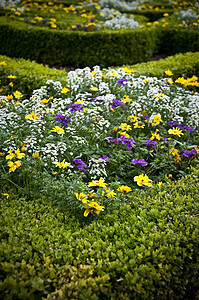 花床  园艺花园草地季节植物园景图片