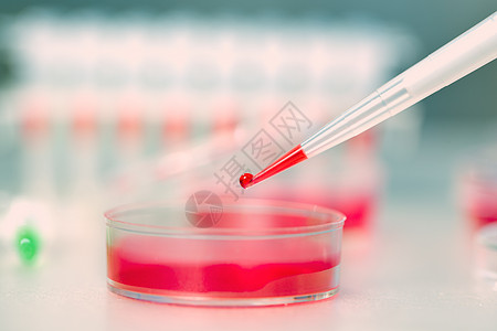 配有一滴液体和小菜盘的浸水器遗传实验室红色验血微生物学生物学化学品吸管样本实验背景图片