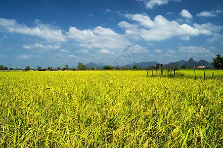 老挝雷河秋季图片