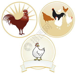 鸡和公鸡标志图片