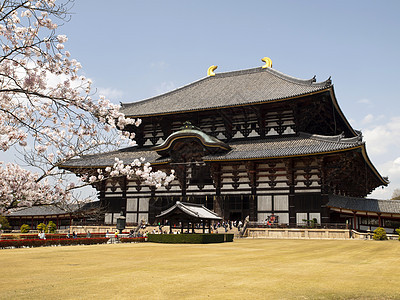 东代寺主厅草地大厅建筑旅游历史性寺庙宗教世界木头樱花图片