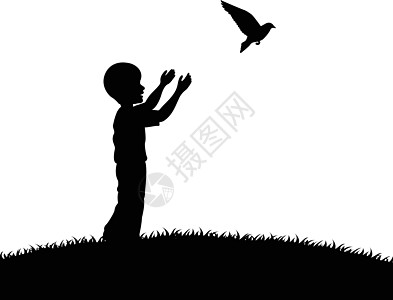 小男孩放一只白鸽子喜悦优胜者居住信仰男生饶恕情感自由鸽子背景图片