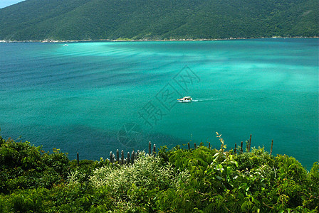 巴西里约热内卢 的晶状绿绿海上的船图片