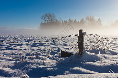 带雪覆盖地面的刺铁丝栅栏倒钩天空蓝色金属乡村铁丝网薄雾场地脚印草地图片