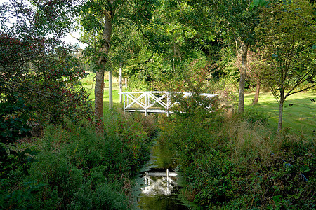 河上小型木桥人行道场景行人太阳溪流树木木头花园森林公园图片