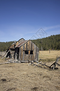 加利福尼亚州塞拉维尔的旧谷仓松树牧场森林木头图片素材