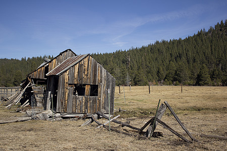 加利福尼亚州塞拉维尔的旧谷仓牧场木头森林松树图片素材