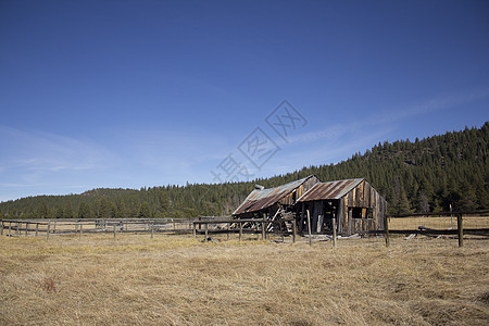加利福尼亚州塞拉维尔的旧谷仓牧场森林松树木头图片素材