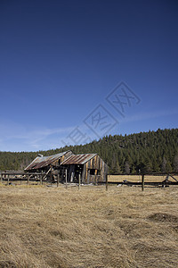 加利福尼亚州塞拉维尔的旧谷仓木头牧场松树森林图片素材