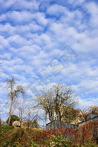 蓝色的天空 云彩飘散风景免版税股票照片城市蓝天花园生态库存图片