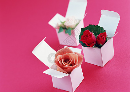 礼品盒庆典珠宝花卉戒指新娘奢华盒子订婚花瓣钻石图片