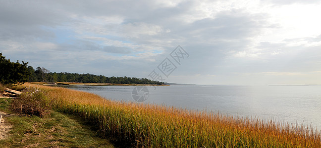 卡罗来纳州海岸海洋绿色蓝色风景支撑金子背景图片