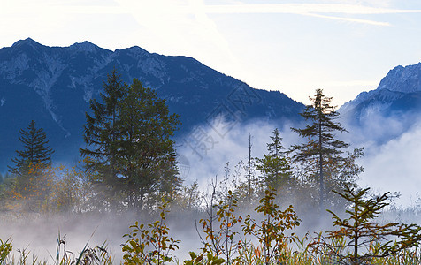 雾中巴伐利亚阿尔卑斯图片