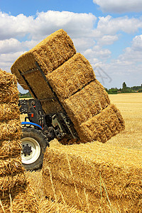 干草堆场地拖拉机小麦卡车干草靴子粮食作物地球稻草图片