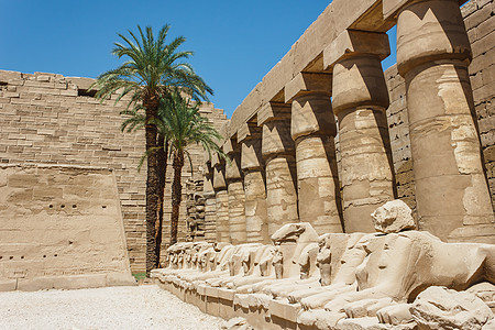 埃及卡纳克寺庙古老废墟文化大厅发掘旅行国王旅游古物艺术上帝考古学图片