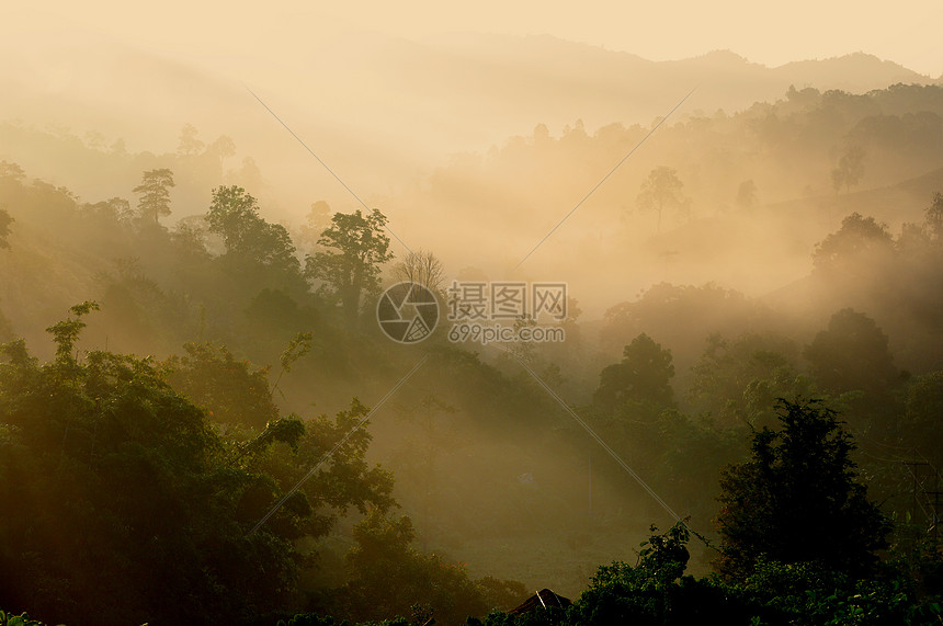 山上喷雾的风景森林阳光季节日出薄雾农村旅行灯光爬坡气氛图片