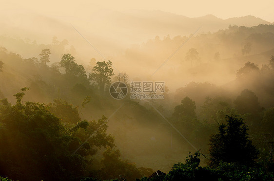 山上喷雾的风景森林阳光季节日出薄雾农村旅行灯光爬坡气氛图片