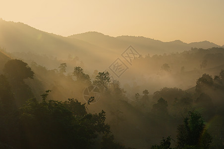 山上喷雾的风景灯光气氛季节薄雾日出荣耀旅行森林农村爬坡图片
