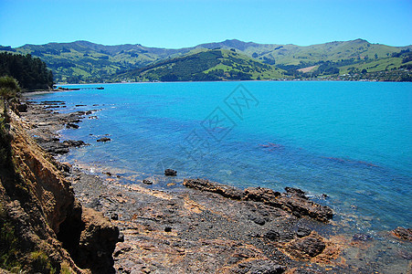 新西兰 洛基海岸图片