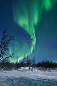 北极光绿色极光冷冻星星北极星荒野峡湾太阳风地磁星系图片