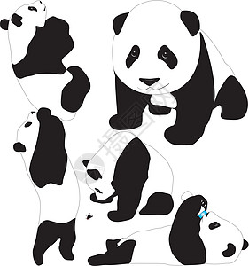 熊猫婴儿矢量轮廓图片