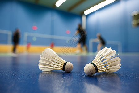 羽毛球羽毛球法庭 有参赛者竞争穿梭孔雀游戏小鸟速度地面自由娱乐爱好球拍训练闲暇图片