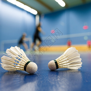 羽毛球羽毛球法庭 有参赛者竞争穿梭孔雀娱乐自由闲暇羽毛游戏乐趣细绳运动员小鸟竞赛图片