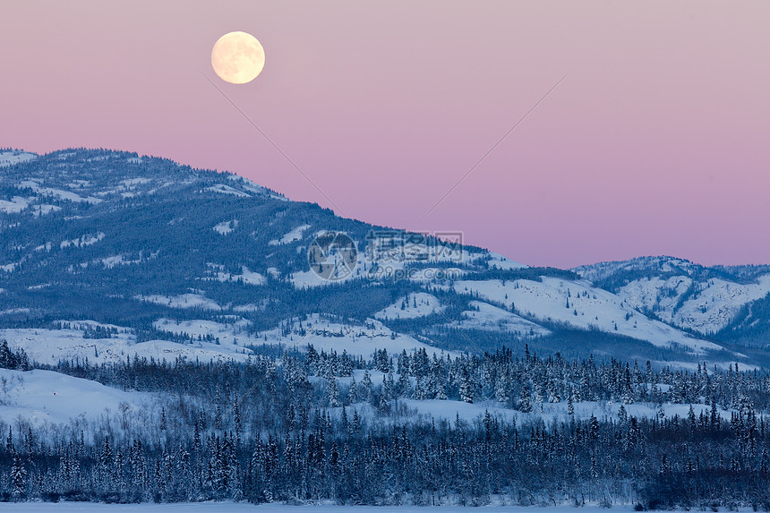 育空加拿大冬季风景和满月升起图片