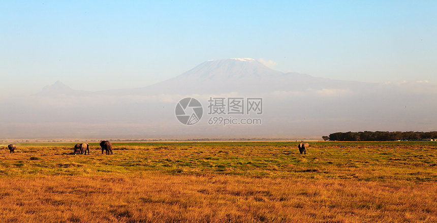 非洲福吉·基利马扎罗山图片