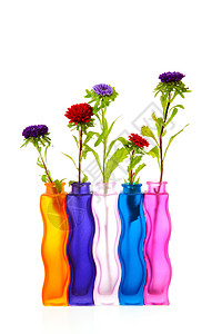 花瓶中的花朵花束植物群季节性工作室背景图片