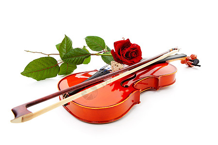 小提琴和红玫瑰音乐乐器玫瑰背景图片