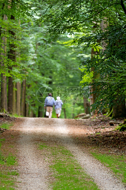 在森林中行走的老年夫妇图片