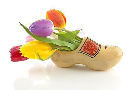 荷兰传统木制鞋 带有郁金香图片
