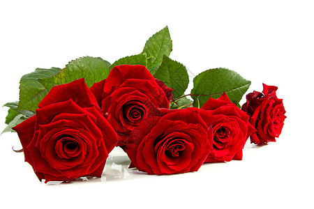 红玫瑰花朵浪漫红色礼物背景图片