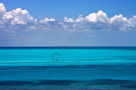 蓝蓝在海中图片
