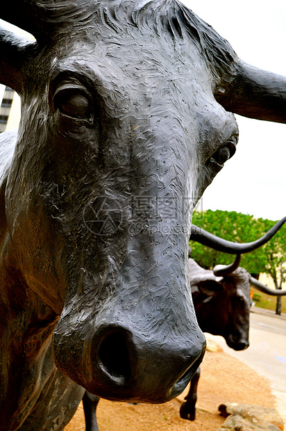 Waco雕像长角的紧贴奶牛艺术品长角牛雕塑家图片