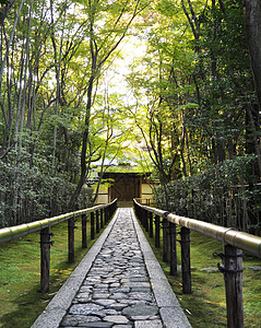 五常龙凤山日本京都Daitoku-ji(日本京都)一小节背景