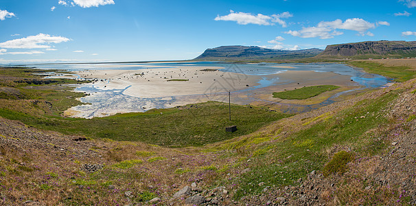 西峡湾风景半岛村庄绿色草地海岸峡湾岩石冰川黄色图片