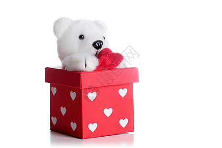 泰迪熊在红色礼物盒上娃娃工作室盒子玩具熊童年礼物玩具概念毛皮白色图片